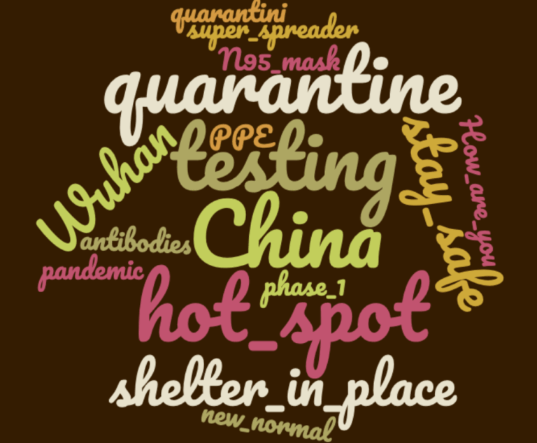 The Pandemic Forever Changed these Words